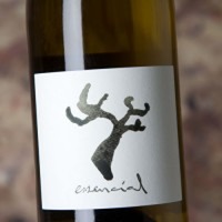 Joan Rubió Essencial