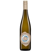 Weingut Gustavshof, Riesling Dittelsheim Ortswein Hochgewächs bio