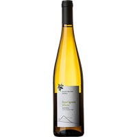 Weissburgunder - Weingut Hartmann Dona