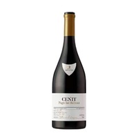 Cénit Pago Las Salinas 2021