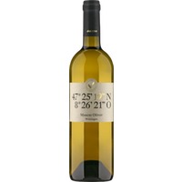 Rutishauser-Divino Varietas 19 Muscat Oliver Weiningen AOC Zürich - - Zürich, Schweiz