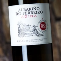 Albariño Do Ferreiro Adina