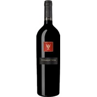 Bodega Numanthia Termanthia - - Duero-Tal (Castilla y Leon), Spanien