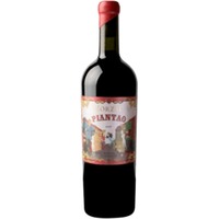 Zorzal Piantao Cabernet Franc - - Mendoza, Argentinien
