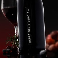 Habla del Silencio