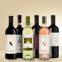 Torrevento Weinpaket Torrevento Classico
