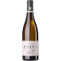 MUSCHELKALK Chardonnay | VDP.GUTSWEIN - Weingut J. Neus