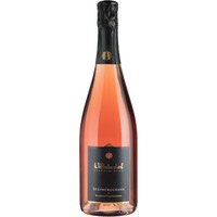 Spätburgunder Rosé Brut Sekt (Bio) - - Wilhelmshof