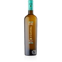 Can Rich D'Amfora Blanco, Vino Blanco 2023, 0,75-l-Flasche