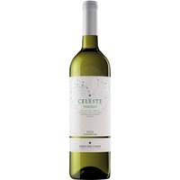 Celeste Verdejo Torres