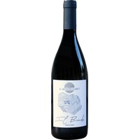 Il Biondo Verona IGP trocken - Il Monte Caro