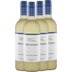 4x Vorteils-Weinpaket Vineyard Selection Sauvignon Blanc - Two Oceans 