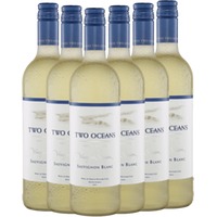 6x Vorteils-Weinpaket Vineyard Selection Sauvignon Blanc - Two Oceans