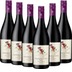 6er Vorteils-Weinpaket Tutti Frutti Rouge - Arrogant Frog 