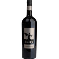 Terre Vecchio Vigneto Puglia IGT - Terre di Campo Sasso