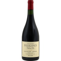 Poligonos Gualtallary Malbec - Zuccardi