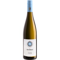 Riesling feinherb - Weingut Meßmer
