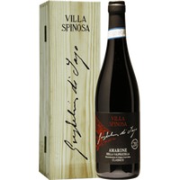 Guglielmi di Jago 20 Anni Amarone della Valpolicella - Villa Spinosa