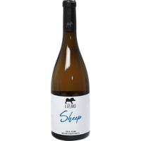 Coda Di Pecora Sheep - Il Verro