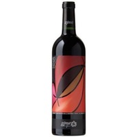 Zymé di Celestino Gaspari 60 20 20 Cabernet Sauvignon IGP Veneto Rosso - - Veneto, Italien