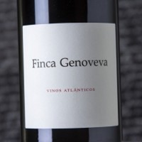 Finca Genoveva Caiño Tinto