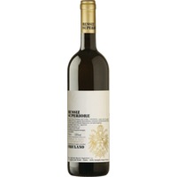 Friulano Collio DOC