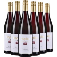 Dopler Kennenlern-Paket - Weingut Dopler