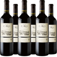 Bodegas Caro Petit Caro Mendoza