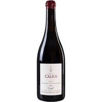Calius Tinto Vendimia Seleccionada Valle de Güimar DO trocken - Bodega Cándido Hernández Pío