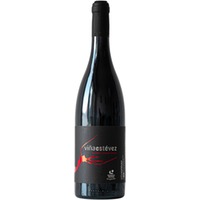 Viña Estevez Baboso Negro Tacoronte-Acentejo DO trocken - Bodegas Viña Estevez