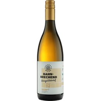 Souvignier Gris Bahnbrechend