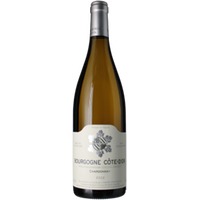 Bourgogne Chardonnay Côte D'Or - Domaine Bzikot Père Et Fils
