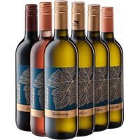 Kennenlern-Paket - Bio-Weingut Fürhacker