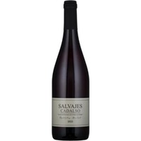 Salvajes de Gredos Salvajes Cadalso DO Vinos de Madrid - - Meseta, Spanien