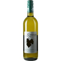 Ried Steinberg Grüner Veltliner Weinviertel DAC trocken - Weingut Kornherr