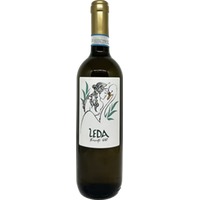 Leda Frascati DOC trocken - Tenuta di Pietra Porzia