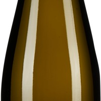 Grüner Veltliner Jakobsweg Kremstal