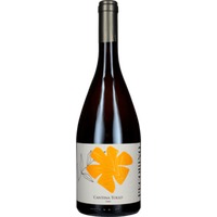 Pecorino Terre d"Abruzzo IGT Cantina Tollo