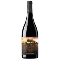 La Garnacha Olvidada de Aragón