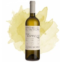 Bianchello del Metauro Vigna delle Terrazze DOC Bio (Claudio Morelli)