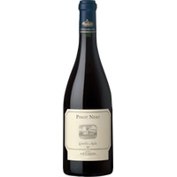 Pinot Nero Umbria Igt