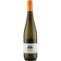 Grüner Veltliner Ried Steinriegel Stoana