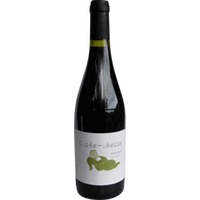 Cuvée Plan Bastit Saint Guilhem le Désert IGP trocken - Coste Ubesse