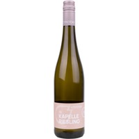 Riesling Kalkstein trocken - Weingut Arndt Schnabel