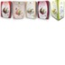 Frankreich/Cévennes BioWeine-Probierpaket (4 x 5-Liter BIB u. 1 x 3 Liter)   bio 