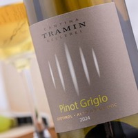 Pinot Grigio Classic