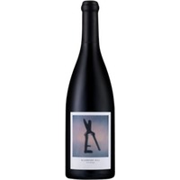 Stellenrust ArtiSons Shiraz Blueberry Hill - - Coastal Region, Südafrika