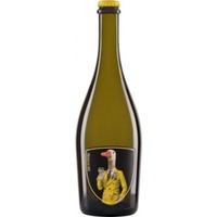 Prosecco Frizzante DOC La Corte Del Pozzo Fasoli - Azienda Agricola Fasoli