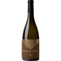 Belva d Terra Sauvignon Blanc Marche IGP - ll Conte