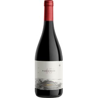 45 Rugientes Pinot Noir - Bodega Otronia
